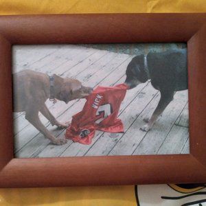 Michael Vick Beware of the dogs Print